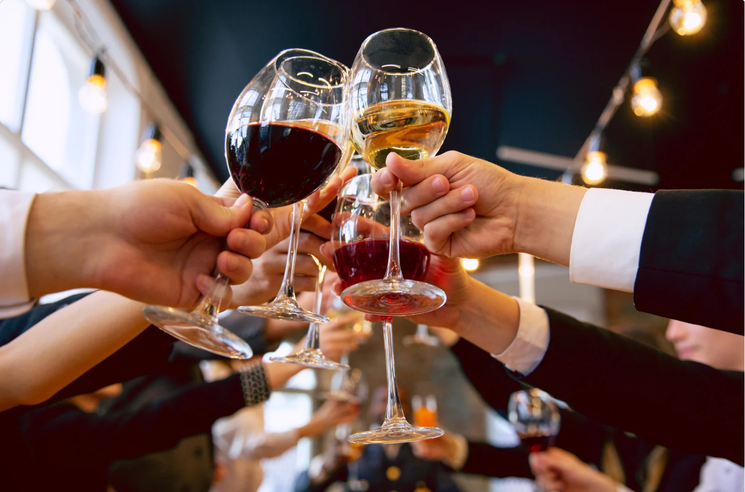 Guests raising wine glasses in a toast under warm string lights